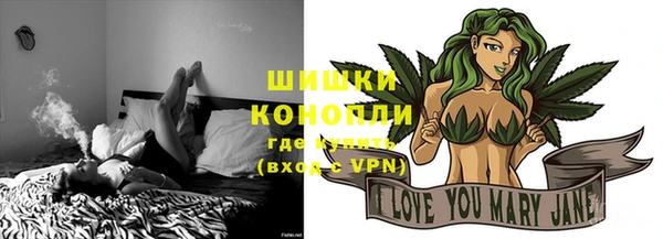 mdpv Белокуриха