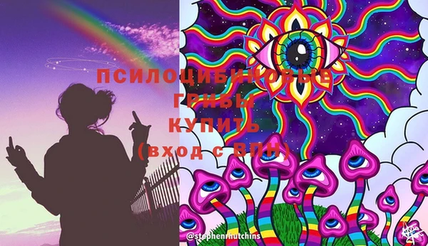mdpv Белокуриха